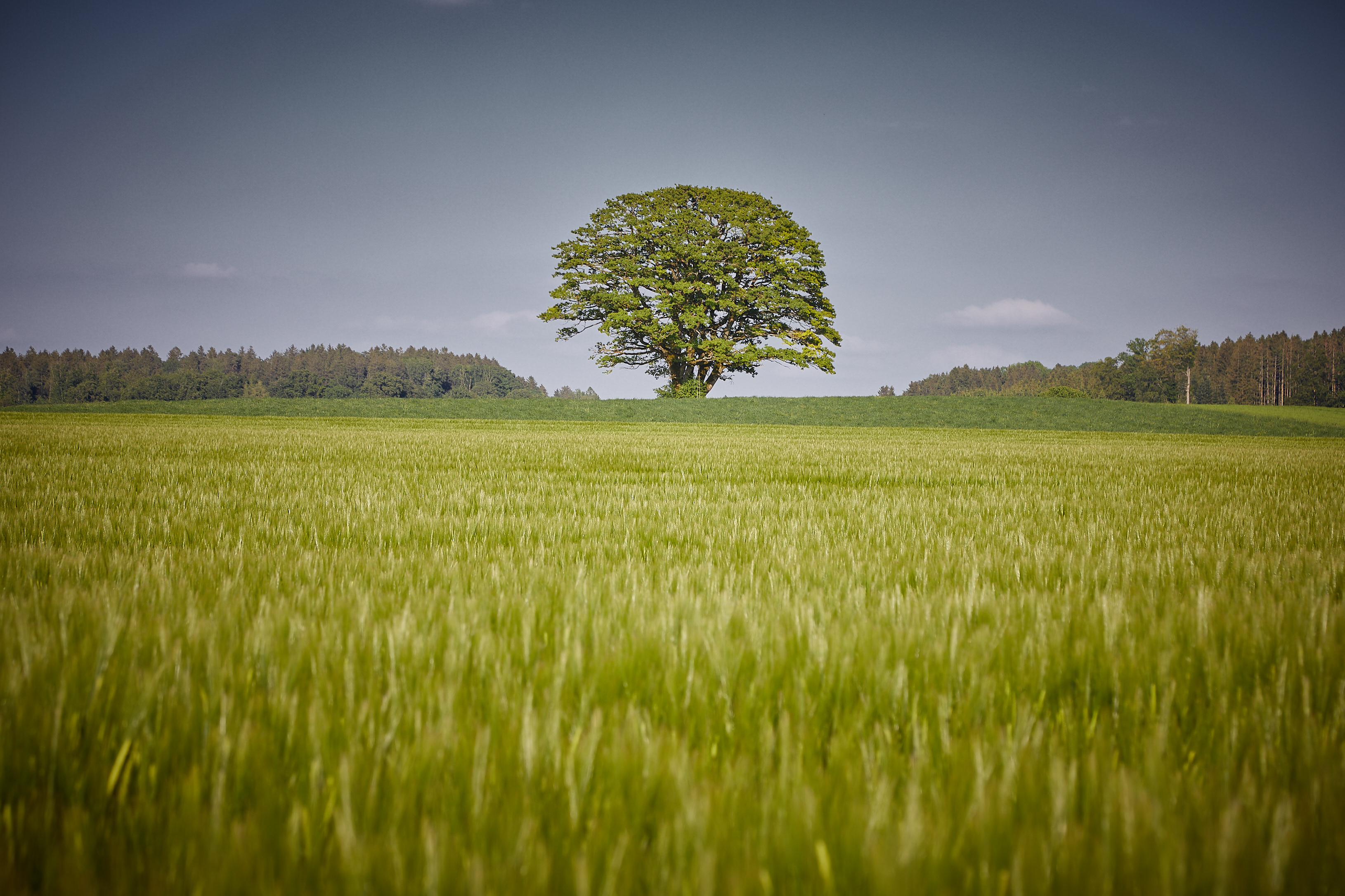 20180511 Windrad Allianz Arena 001 2
